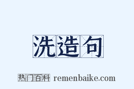 洗造句是什么意思的图片